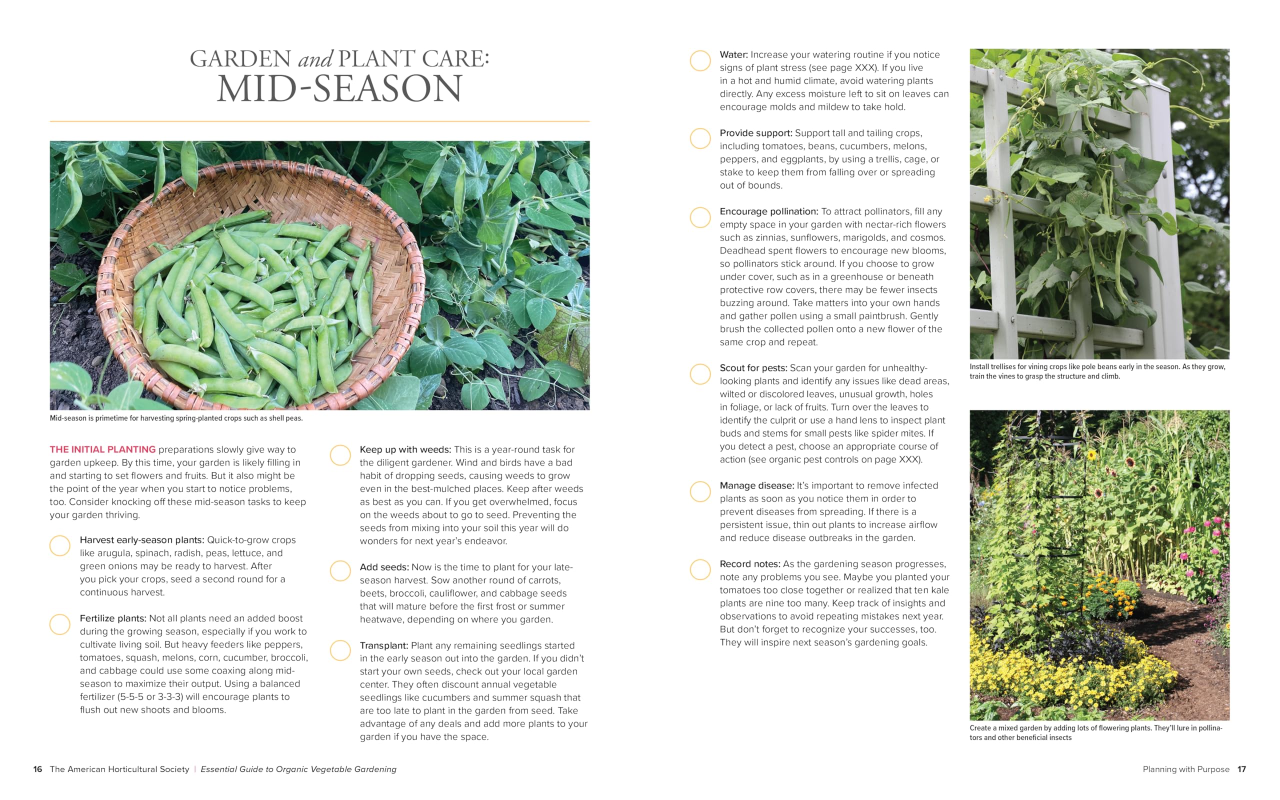 Essential Guide to Organic Vegetable Gardening: Techniques and Know-How for Planning, Planting, and Tending a Home Vegetable Garden Organically
