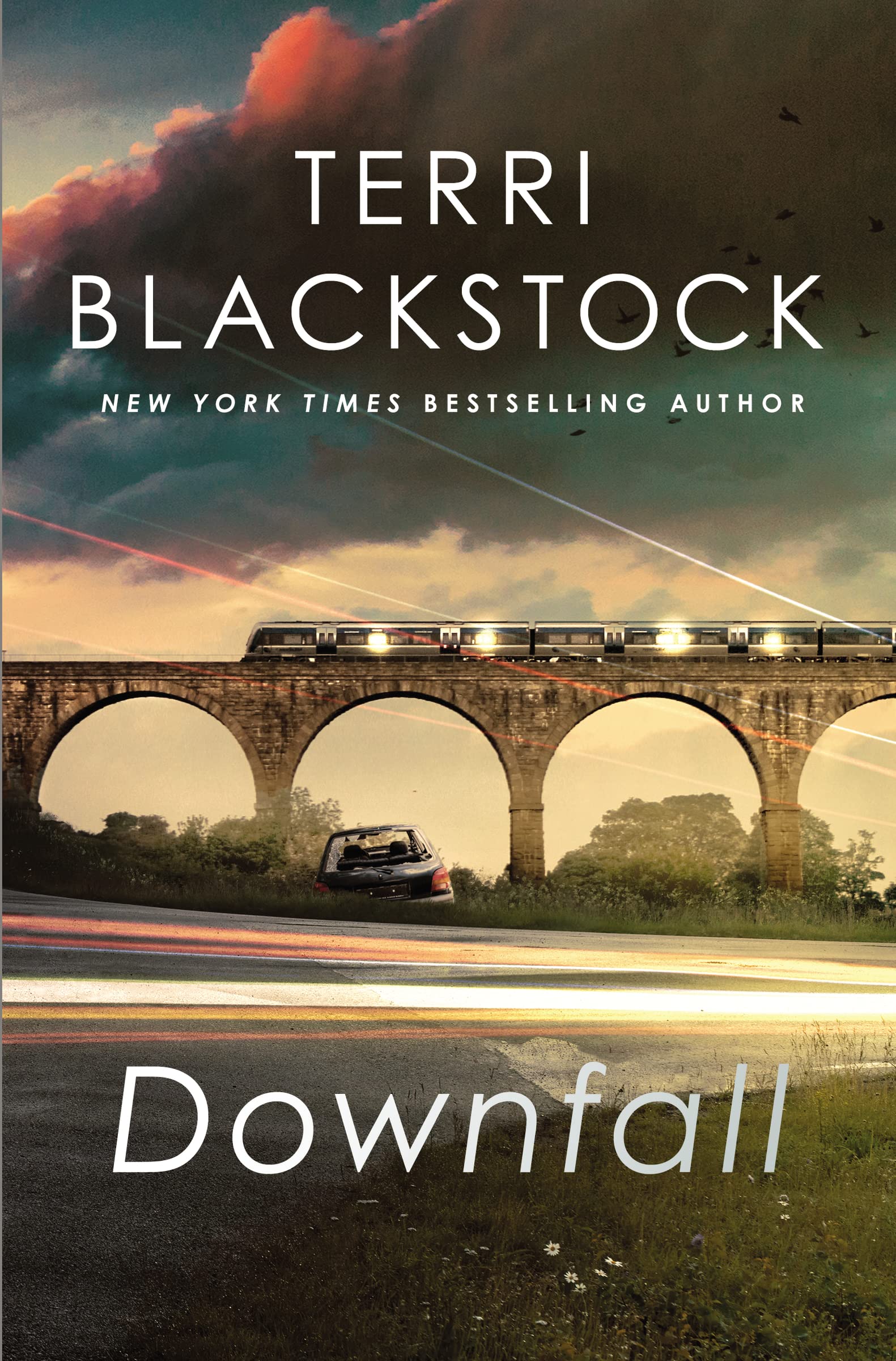 Downfall: A tense, emotionally charged thriller: 3