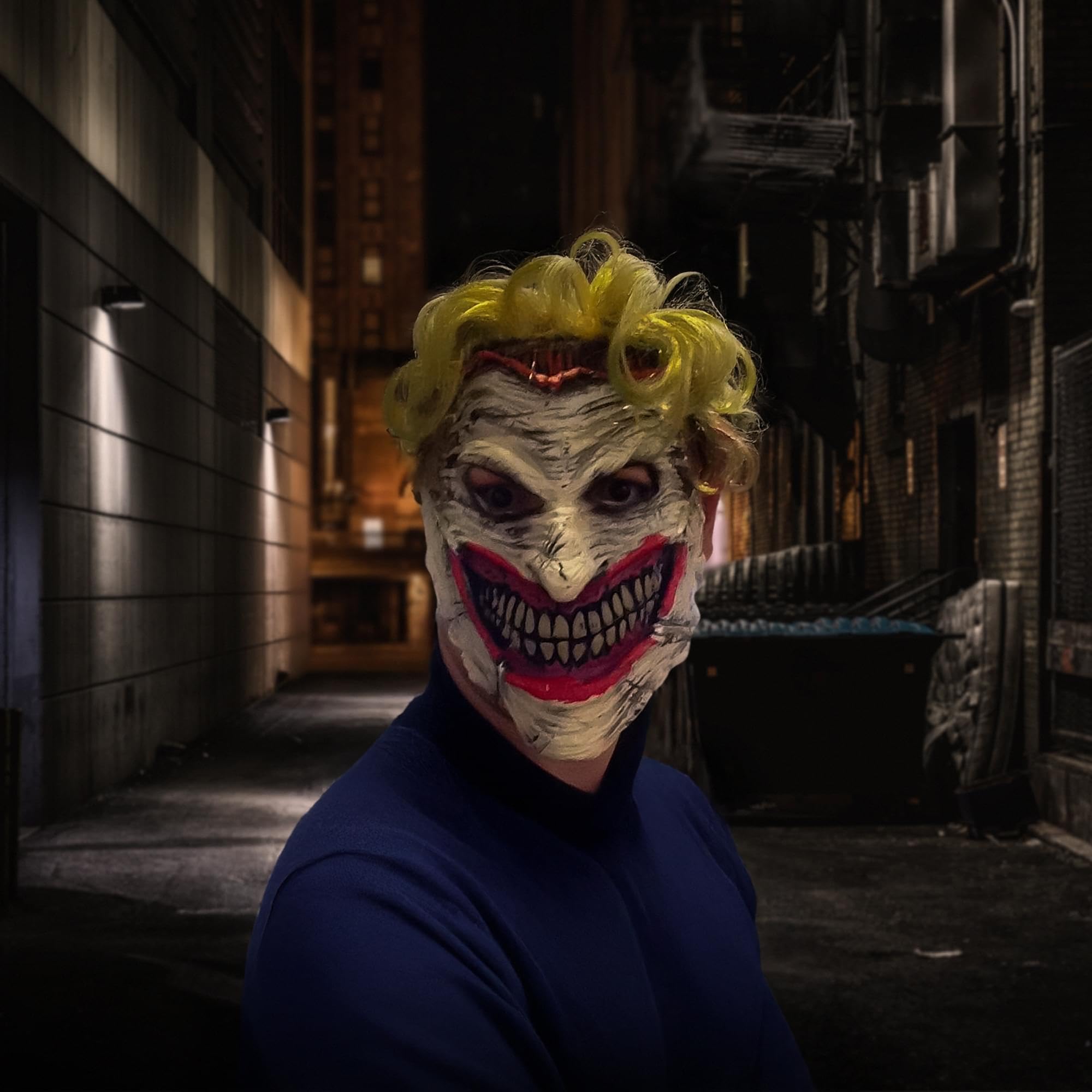 Batman: Death of the Family Mask and Book Set