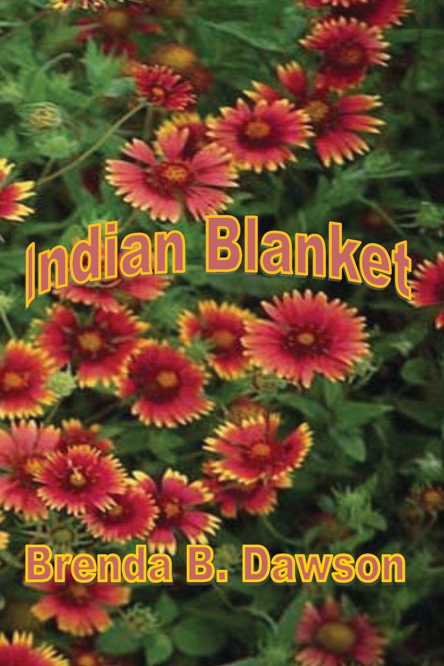 Indian Blanket