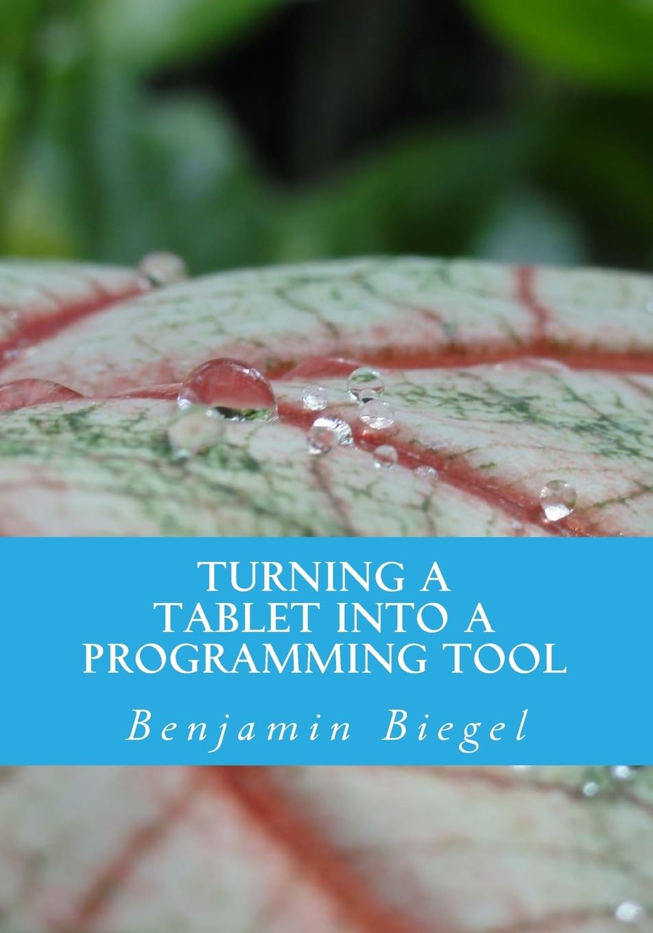 Turning a Tablet into a Programming Tool