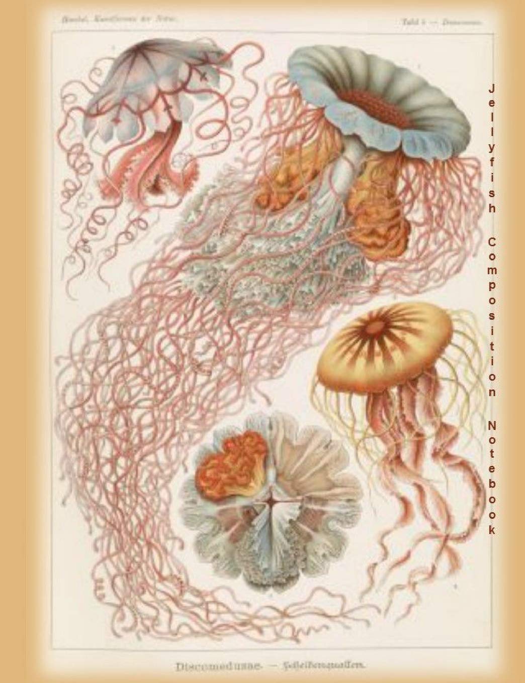 Jellyfish Composition Notebook