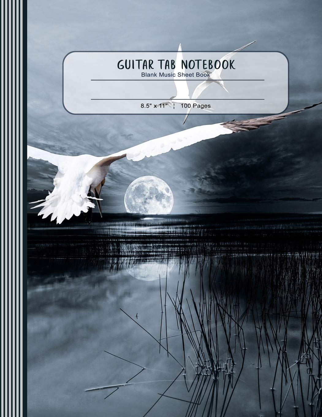 Guitar Tab Notebook: Large Blank Music Notation Sheet Paper Composing Book - Seagulls In Moonlight Landscape