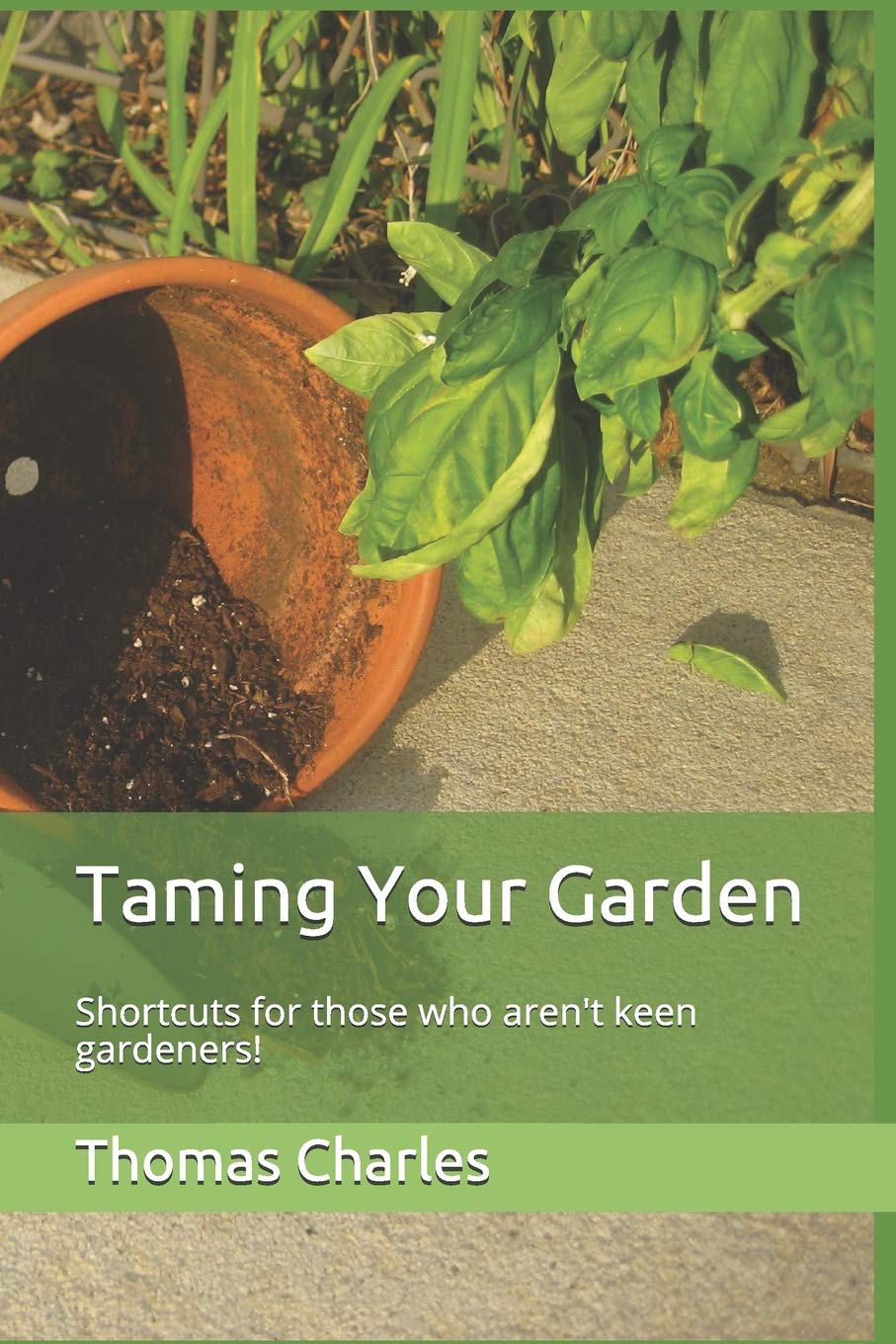 Taming Your Garden: Shortcuts for those who aren't keen gardeners!