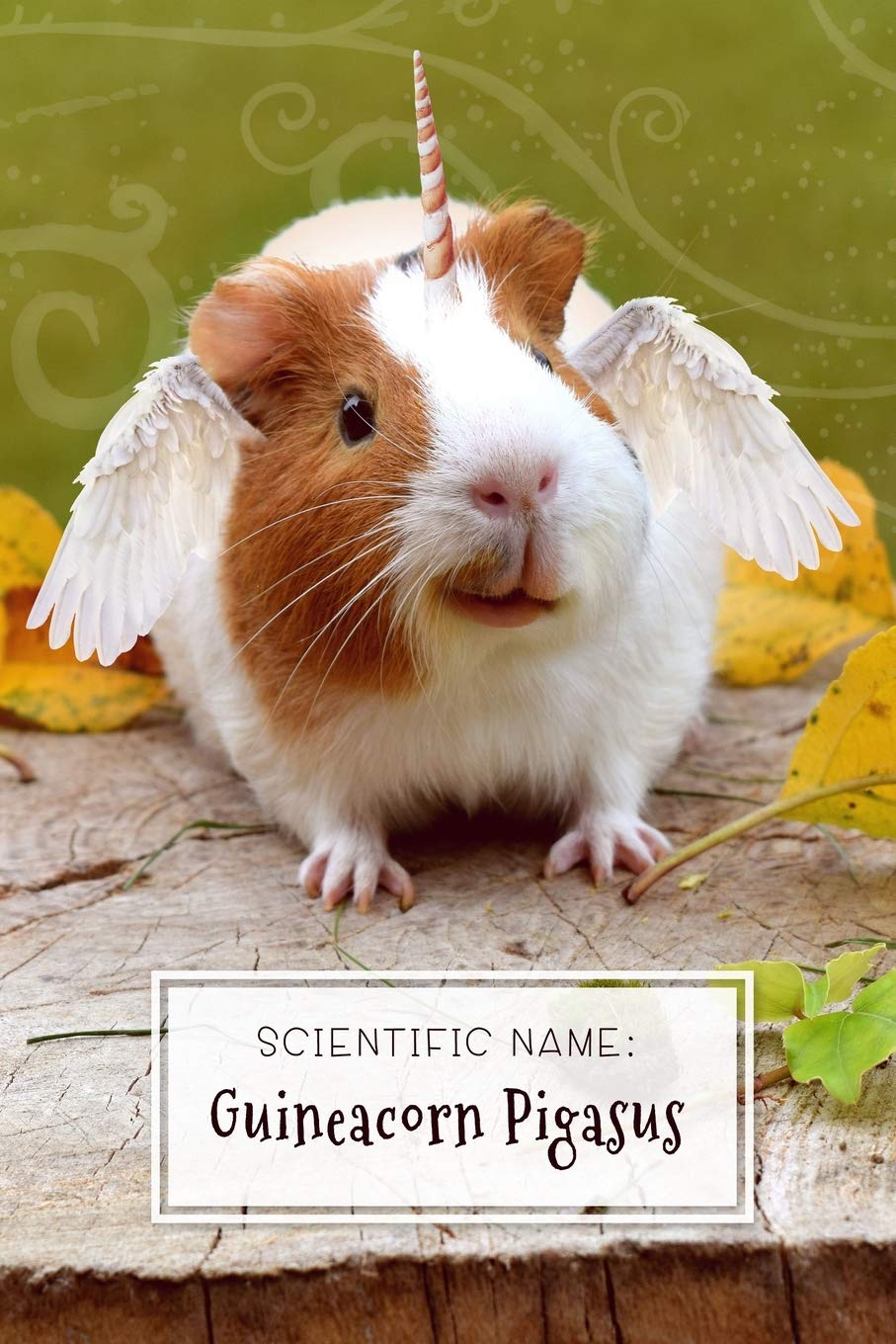 Scientific Name: Guineacorn Pigasus: Guinea Pig Unicorn Lover Journal