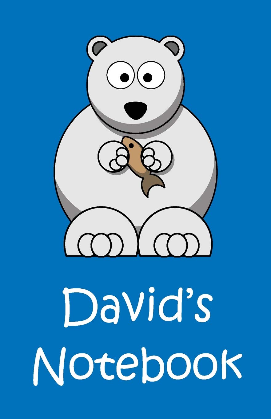David's Notebook