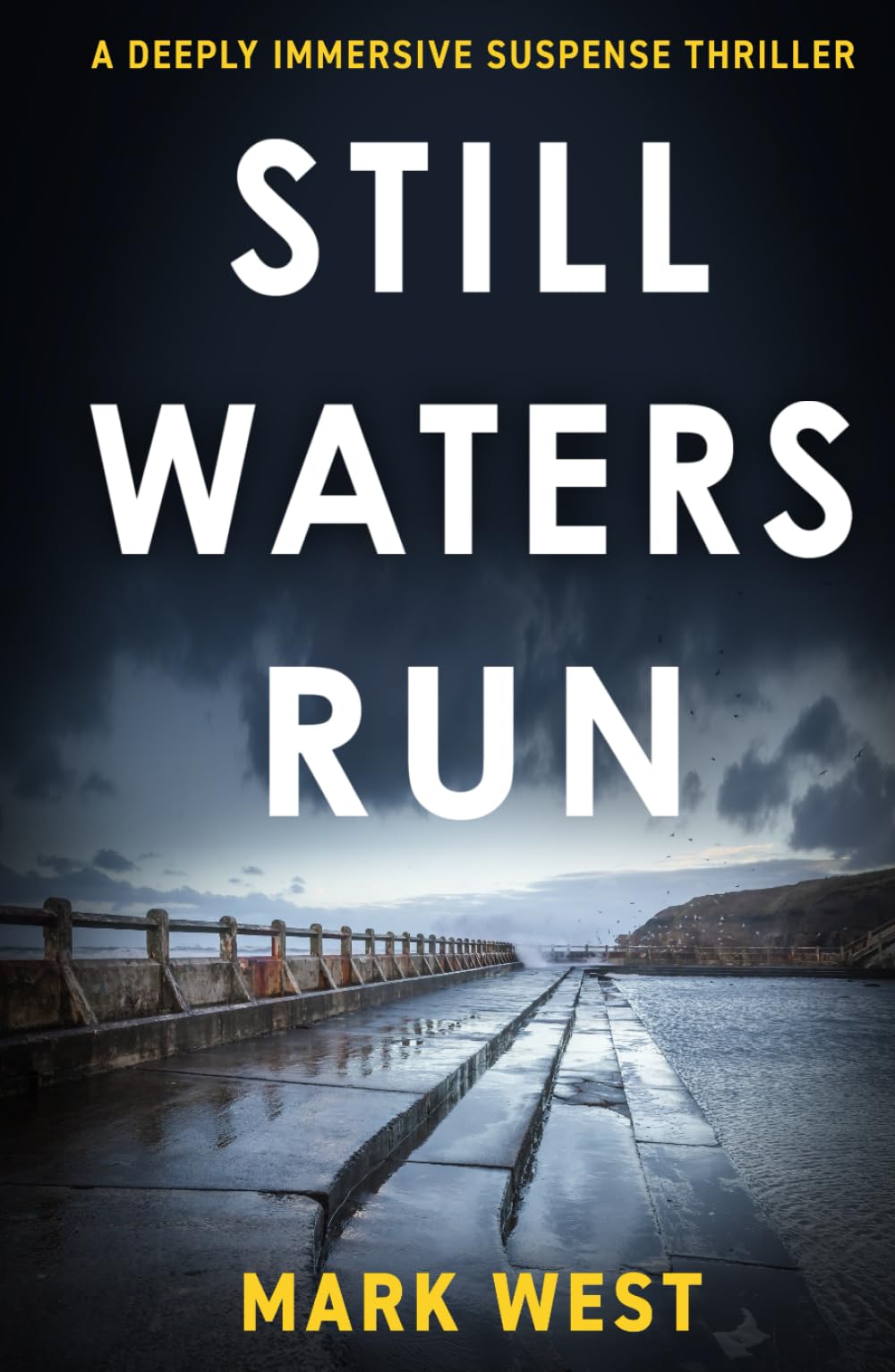 STILL WATERS RUN: A deeply immersive suspense thriller