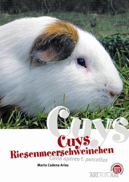 Cuys - Riesenmeerschweinchen: Cavia aperea f. porcellus: Art für Art (Art für Art: Kleinsäuger): 8