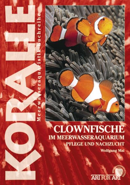 Clownfische im Meerwasseraquarium: Pflege und Nachzucht (Koralle)