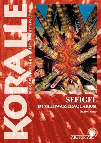 Seeigel: Im Meerwasseraquarium (Art für Art / Meerwasser)