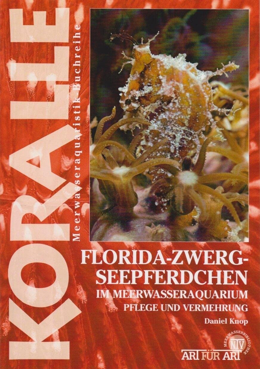Art für Art 14. Florida-Zwergseepferdchen: Im Meerwasseraquarium