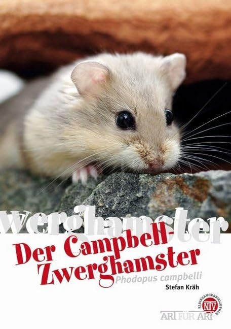 Der Campbell-Zwerghamster: Phodopus campbelli (Art für Art: Kleinsäuger): 13