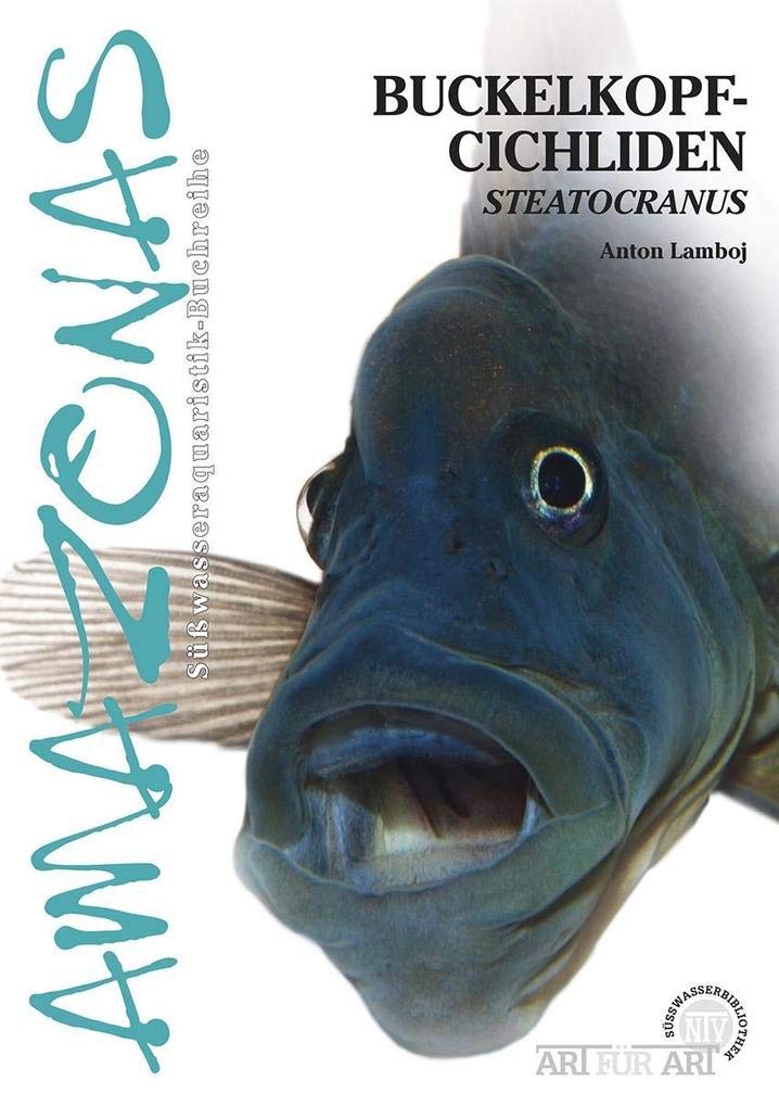 Buckelkopfcichliden: Steatocranus: Die Gattung Steatocranus (Art für Art: Süsswasser): 17