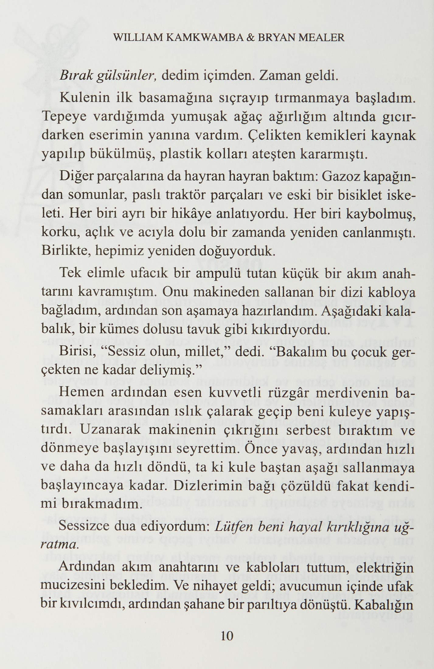 Rüzgarı Dizginleyen Çocuk