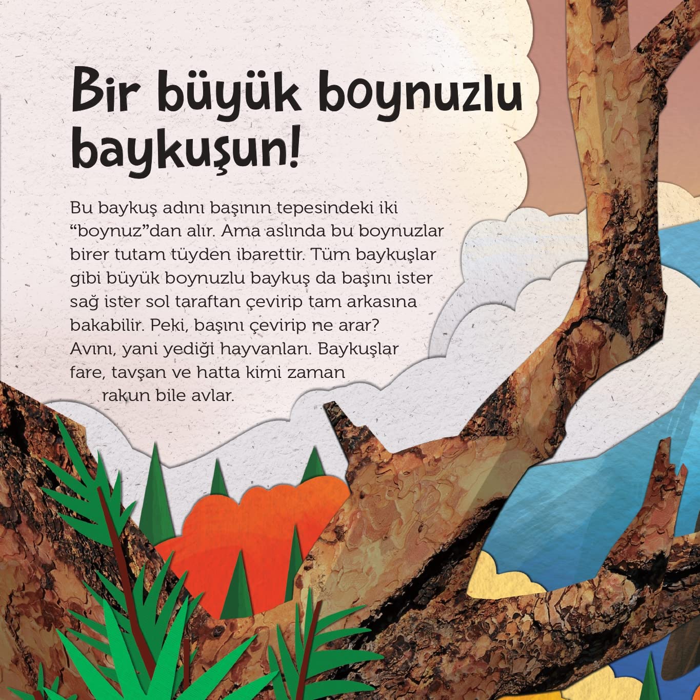 Tepeden Kuyruğa - Kuşlar