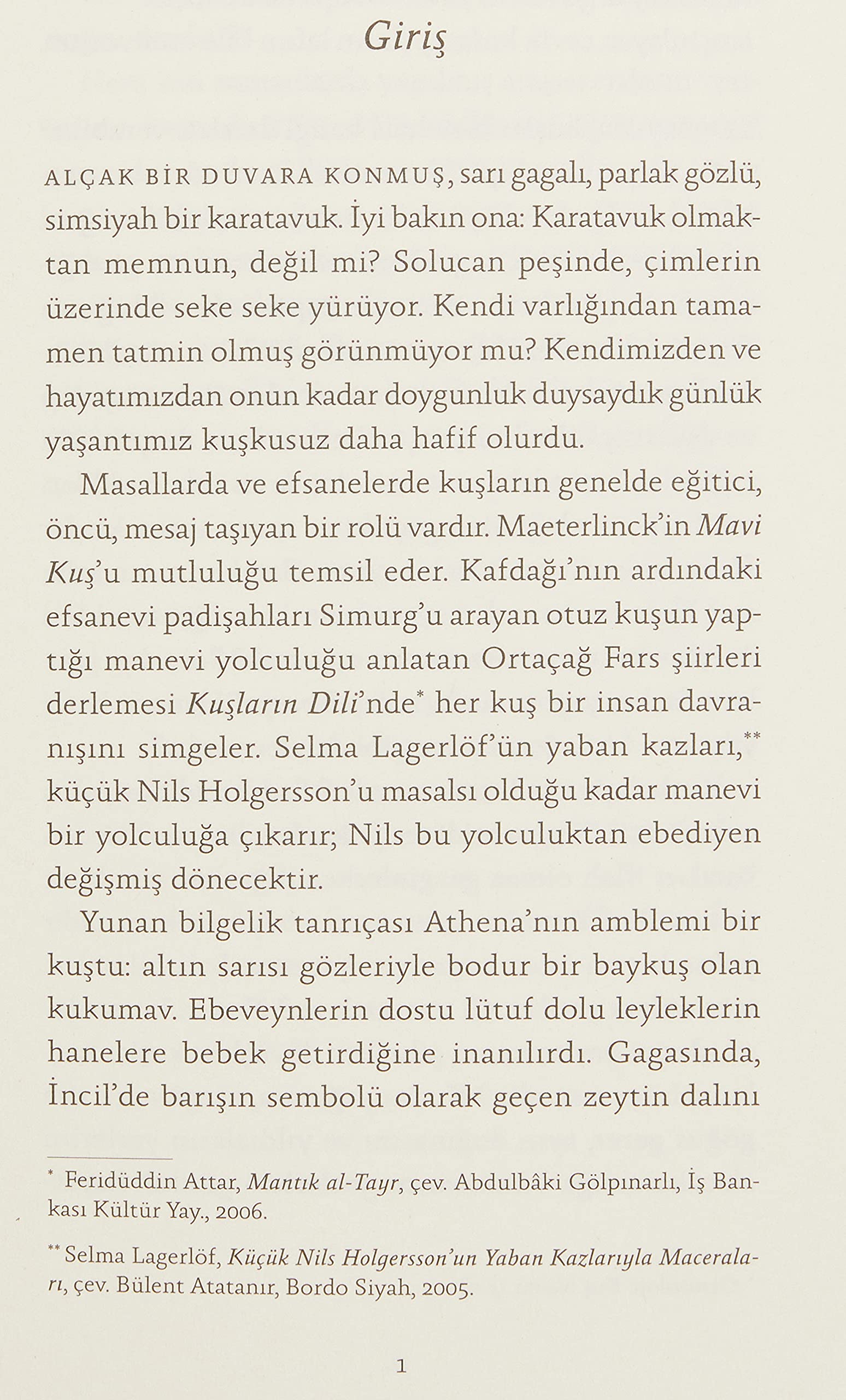 Kuşların Felsefesi