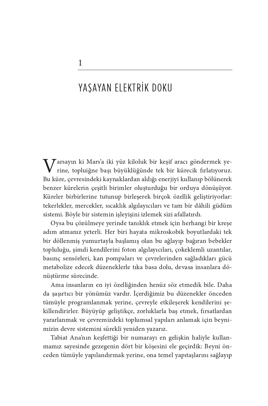 Canlı Devre: Durmaksızın Değişen Beynin İçyüzü