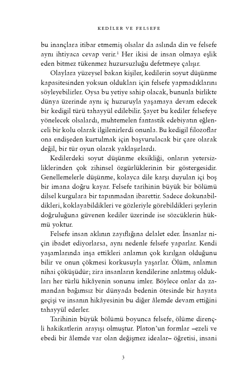 Kedi Felsefesi: Kediler ve Hayatın Anlamı