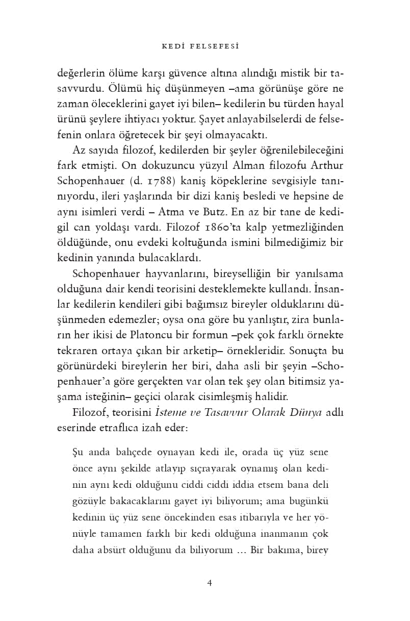 Kedi Felsefesi: Kediler ve Hayatın Anlamı
