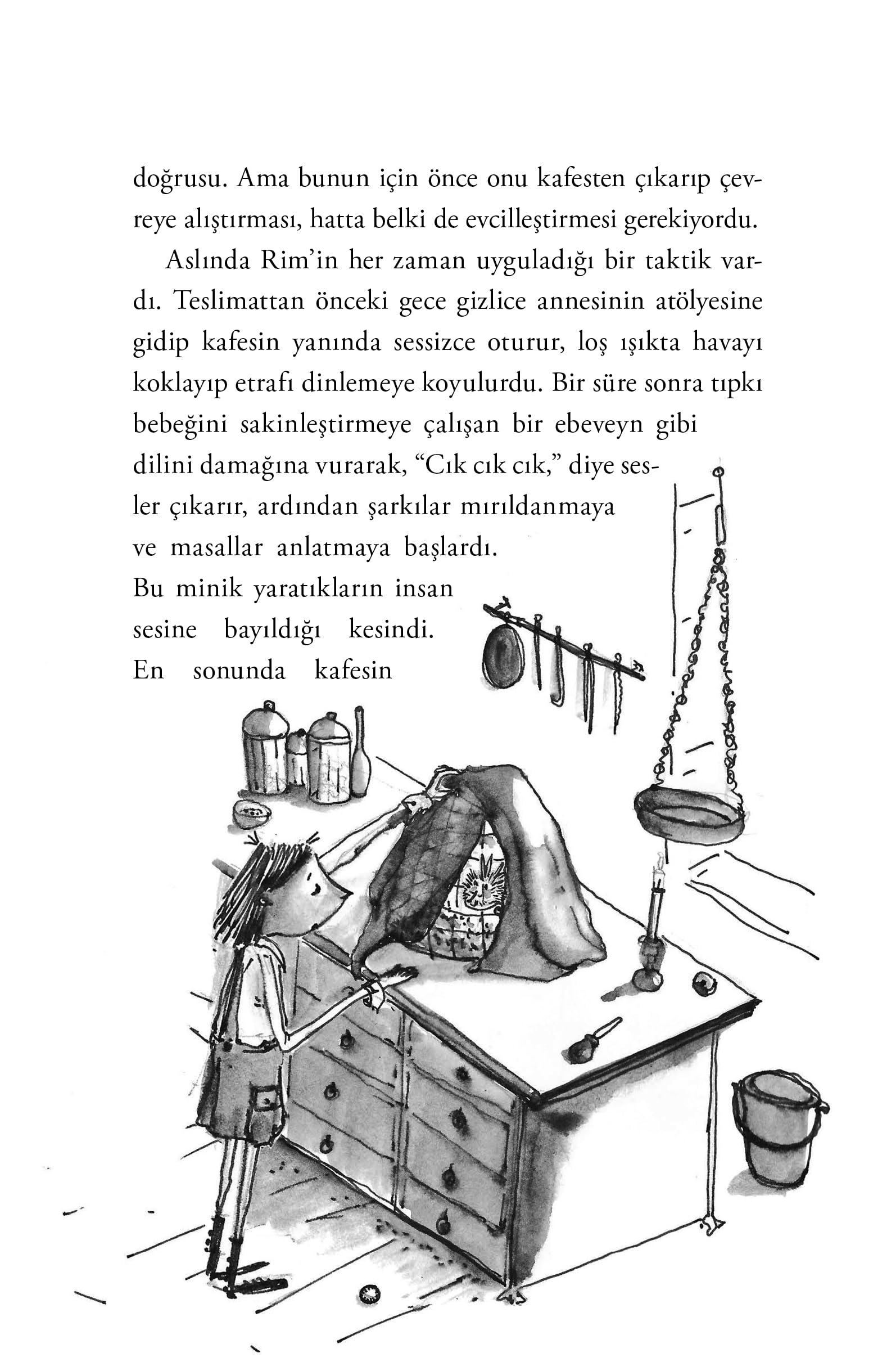 Rim ve Özgür Kelimeler