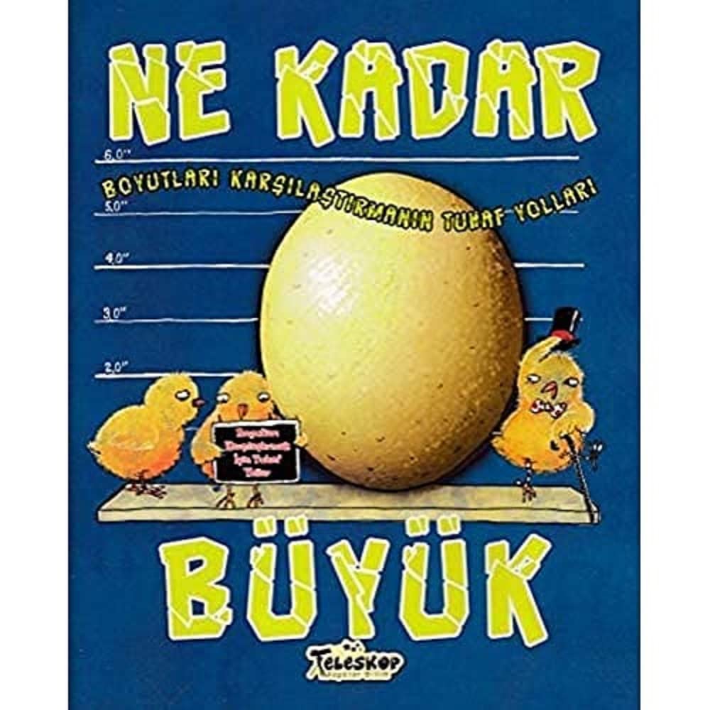 Boyutları Karşılaştırmanın Tuhaf Yolları Ne Kadar Büyük: Boyutları Karşılaştımanın Tuhaf Yolları