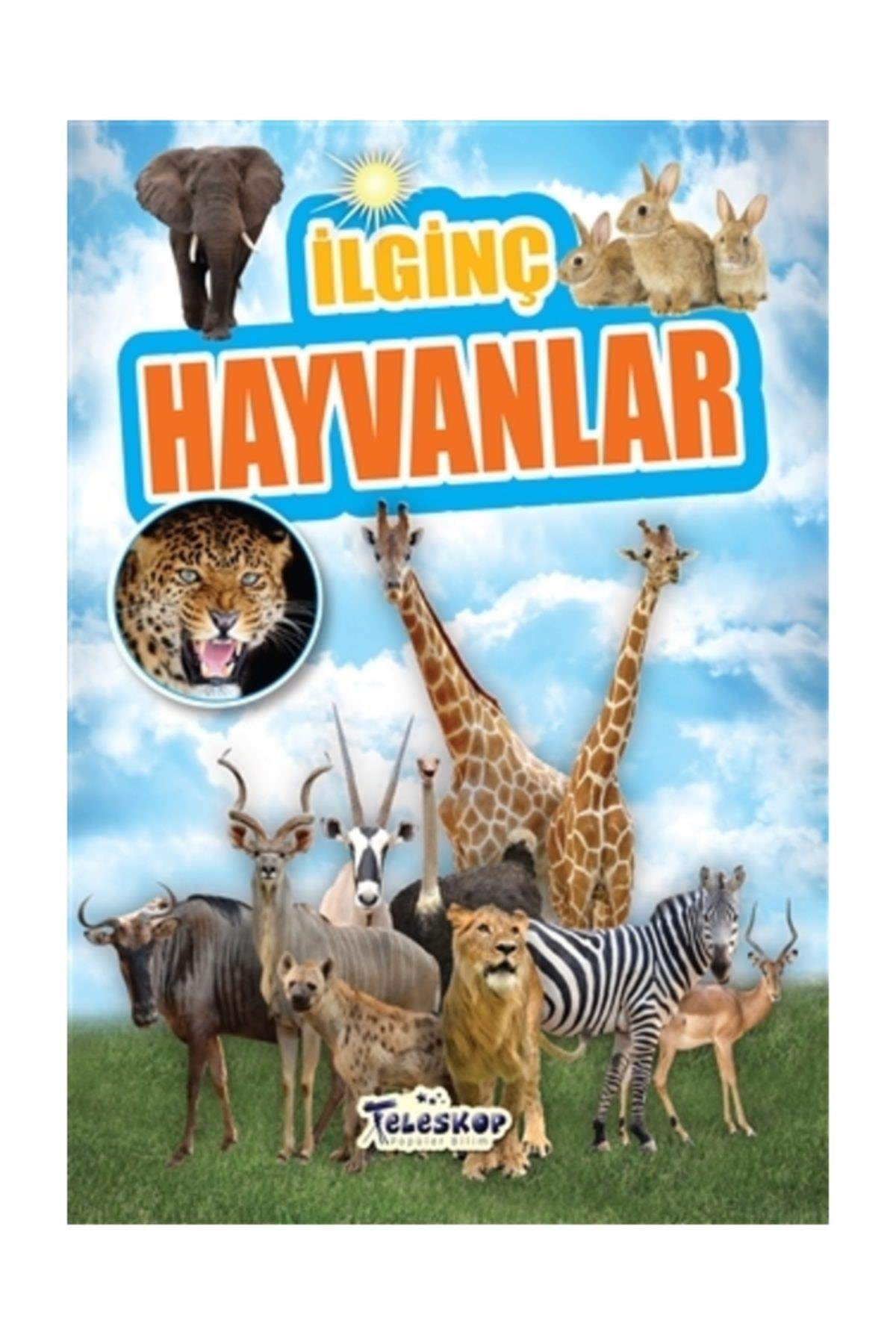 İlginç Hayvanlar - İlginç Bilgiler Serisi
