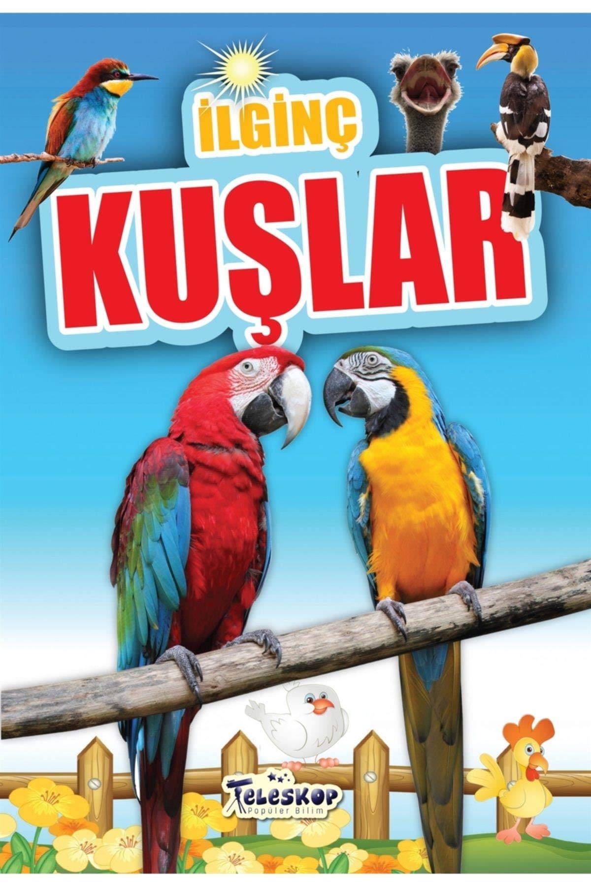 İlginç Kuşlar - İlginç Bilgiler Serisi