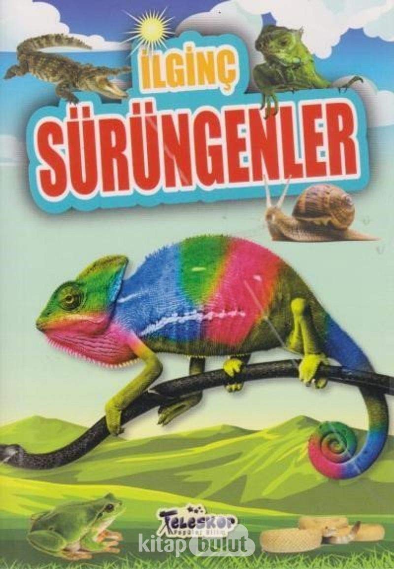 İlginç Sürüngenler - İlginç Bilgiler Serisi