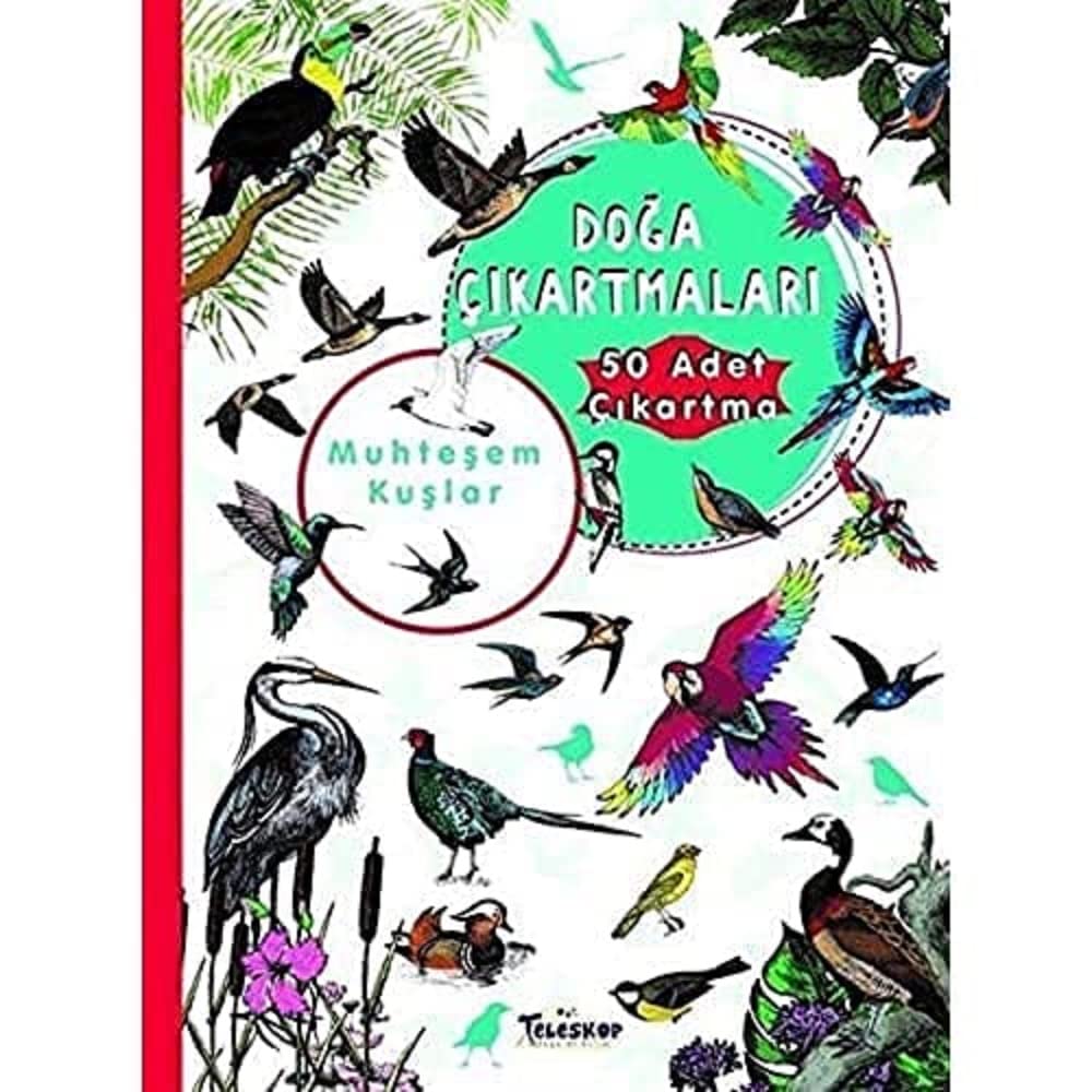 Muhteşem Kuşlar Doğa Çıkartmaları