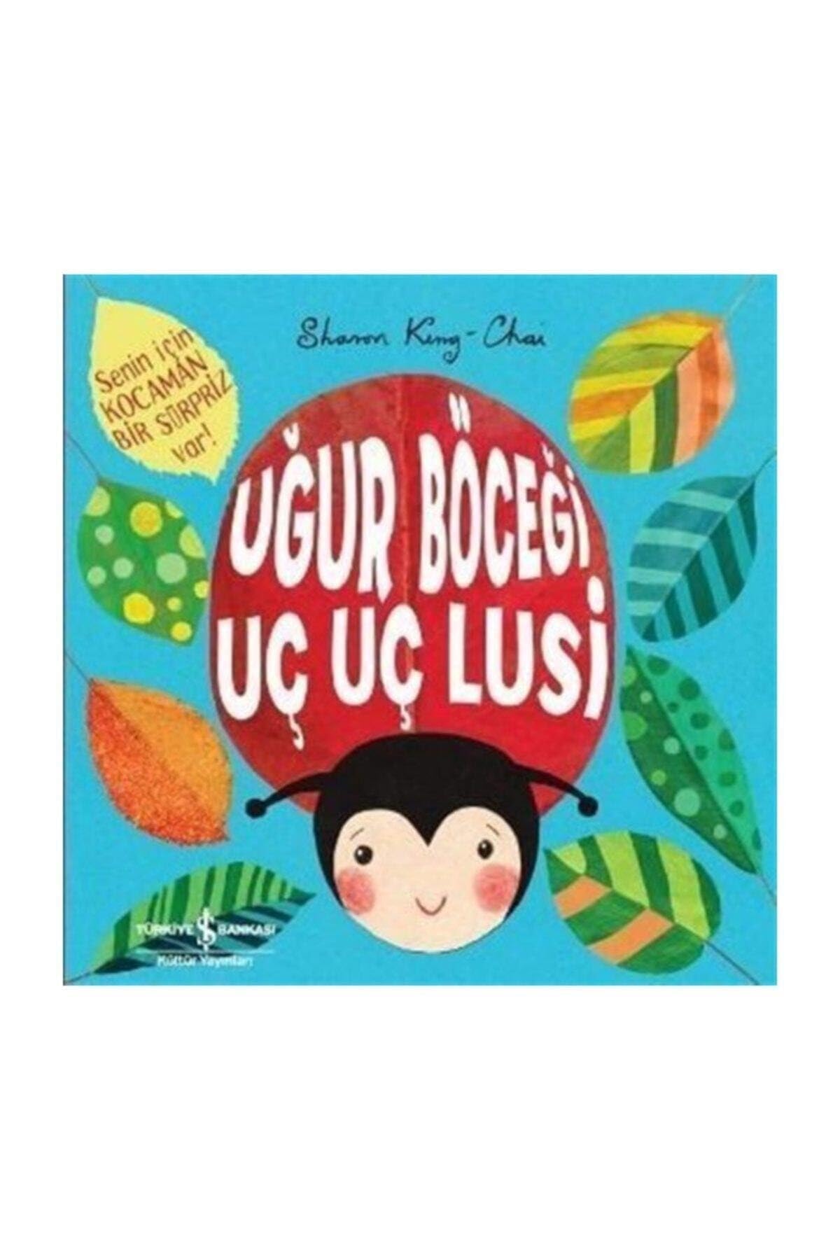 Uğur Böceği Uç Uç Lusi: Senin için kocaman bir sürpriz var!