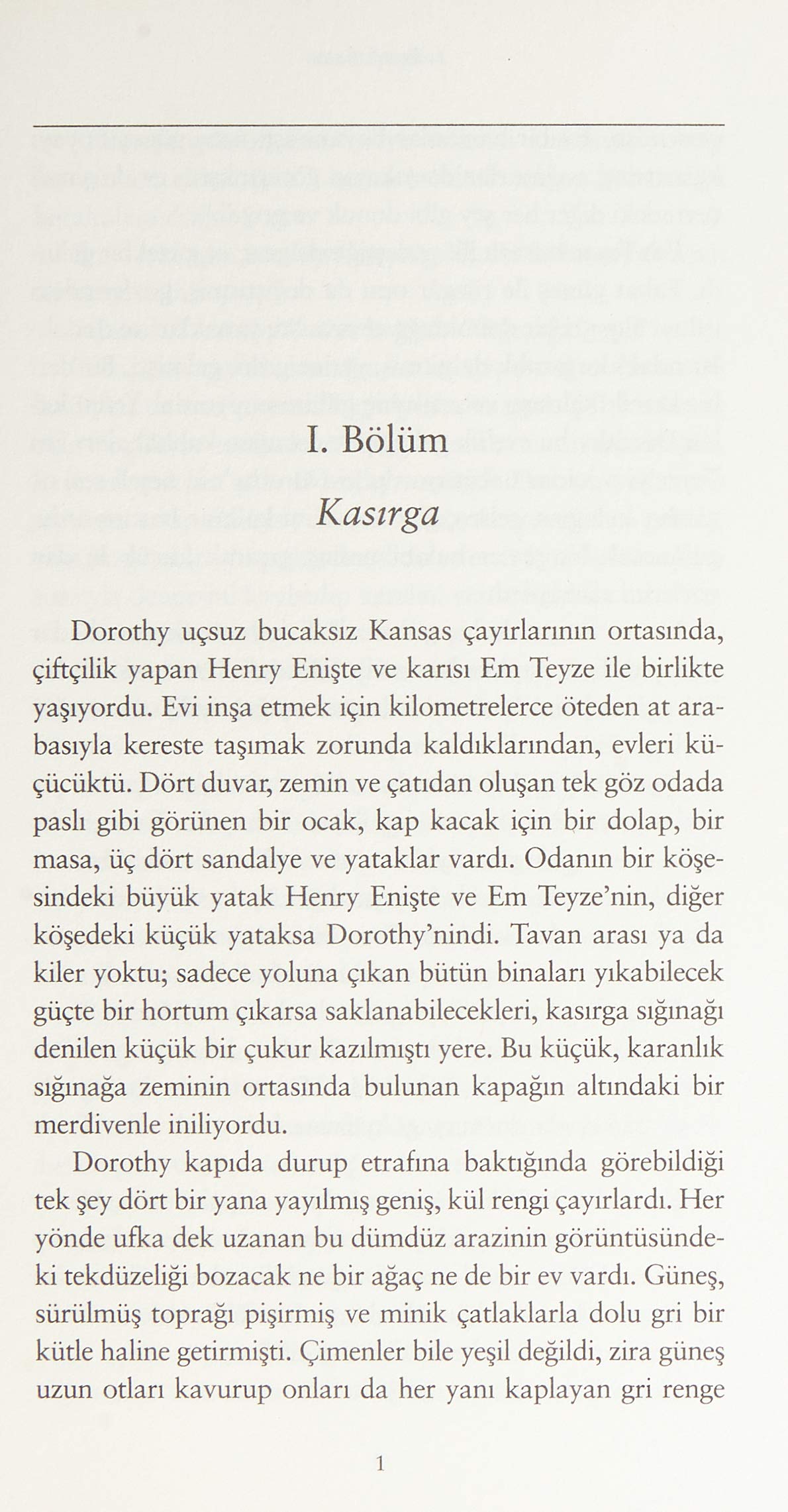 Oz Büyücüsü: Modern Klasikler Serisi