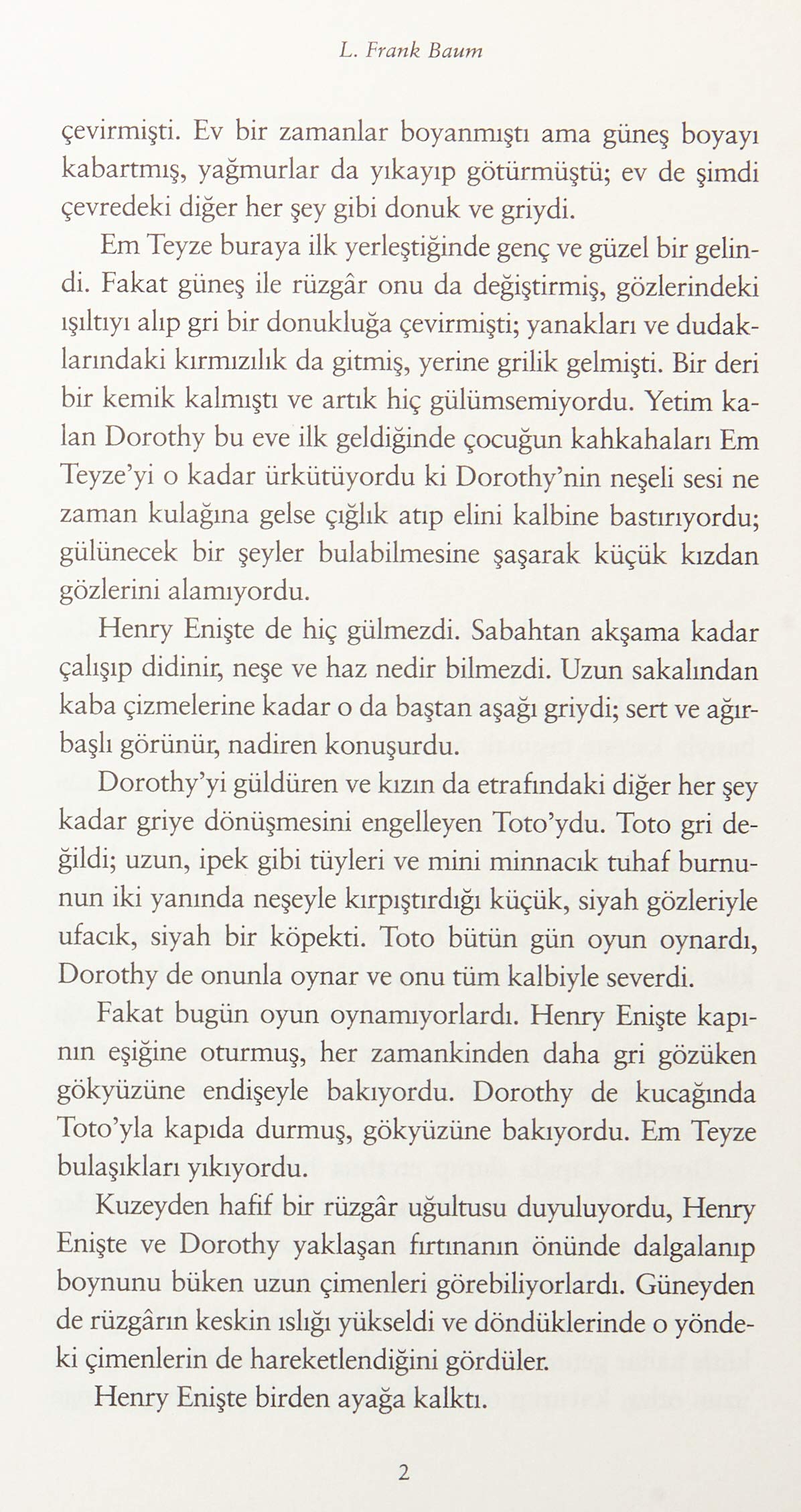 Oz Büyücüsü: Modern Klasikler Serisi