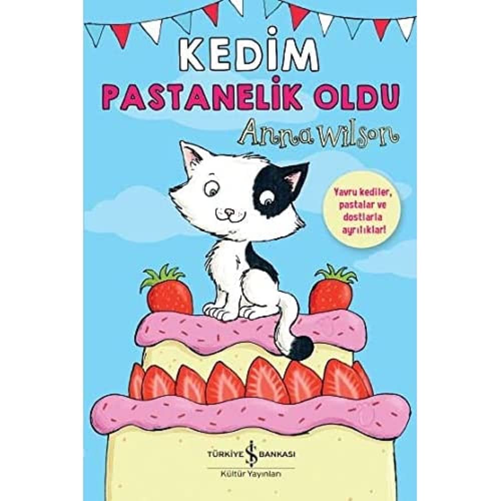 Kedim Pastanelik Oldu: Yavru Kediler, Pastalar ve Dostlarla Ayrılıklar!