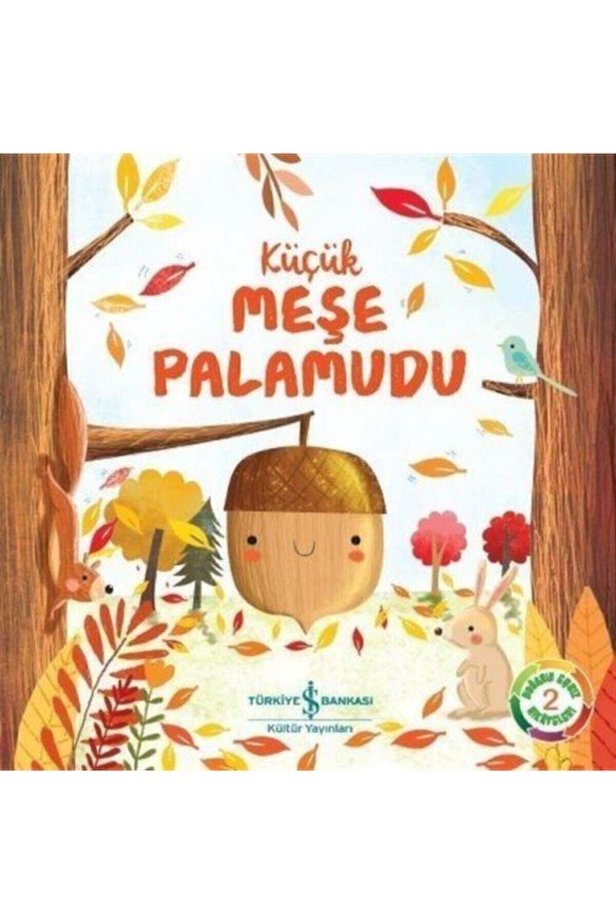 Doğanın Eşsiz Hikayeleri 2 - Küçük Meşe Palamudu