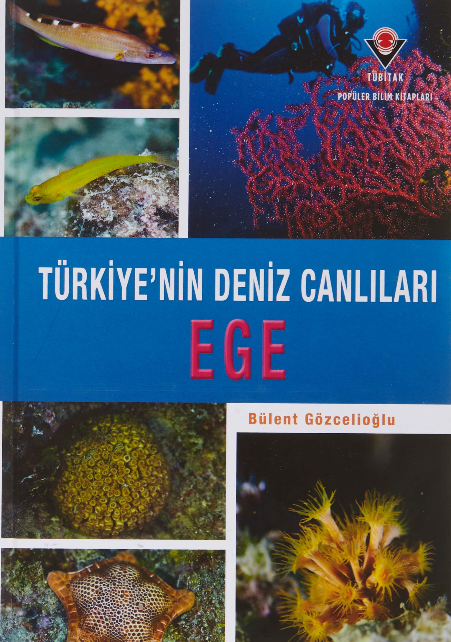 Ege - Türkiye'nin Deniz Canlıları