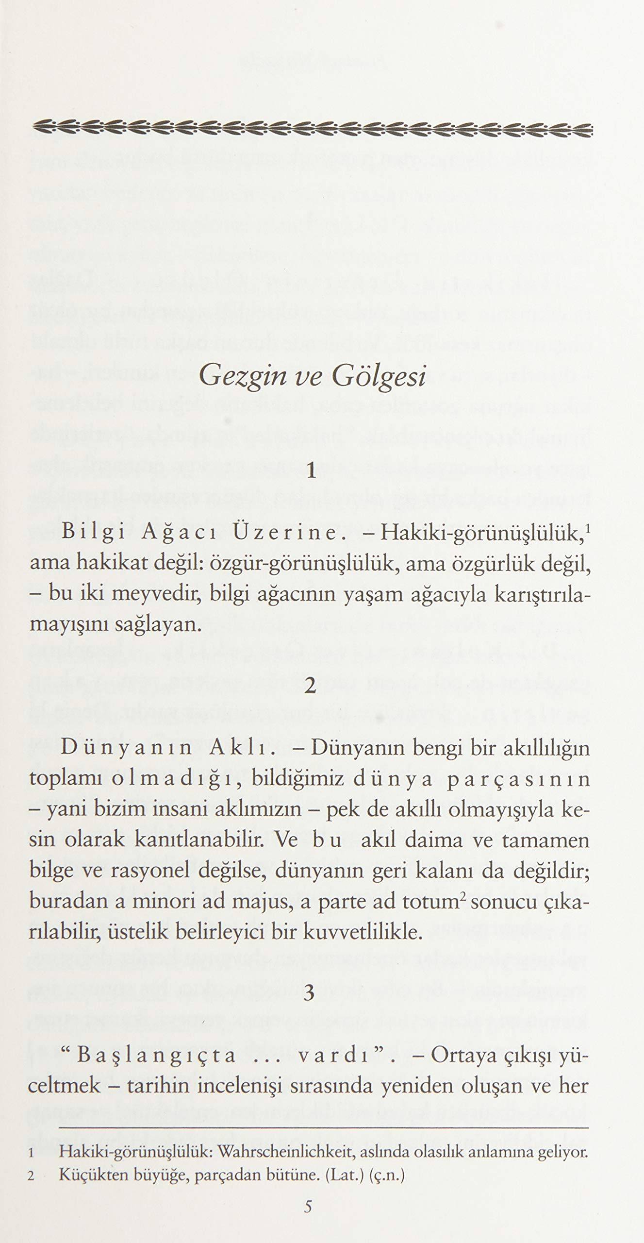 Gezgin ve Gölgesi: Hasan Ali Yücel Klasikleri İnsanca Pek İnsanca - 2