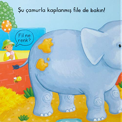 Hareketli Hayvanat Bahçesi