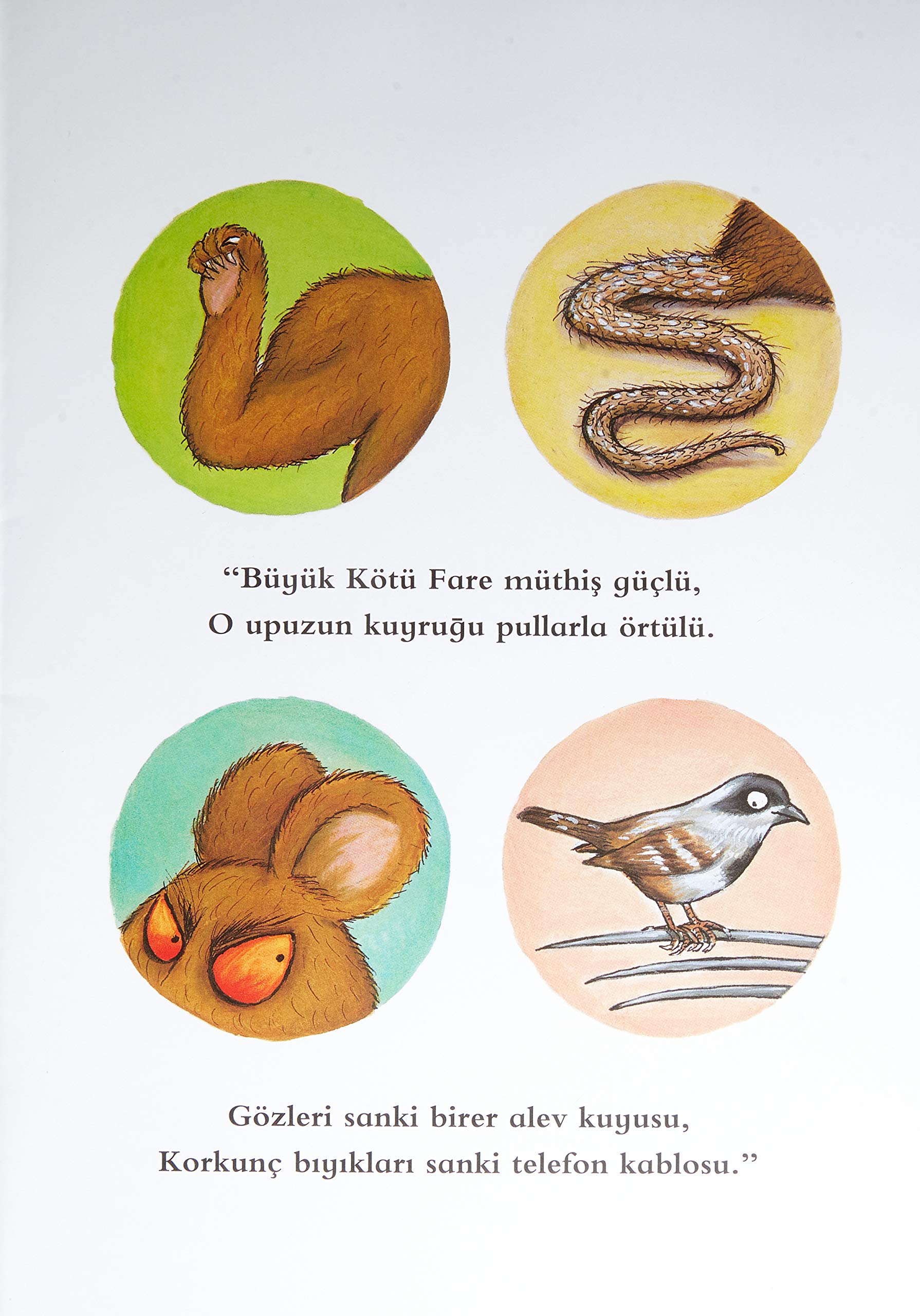 Yayazulanın Çocuğu