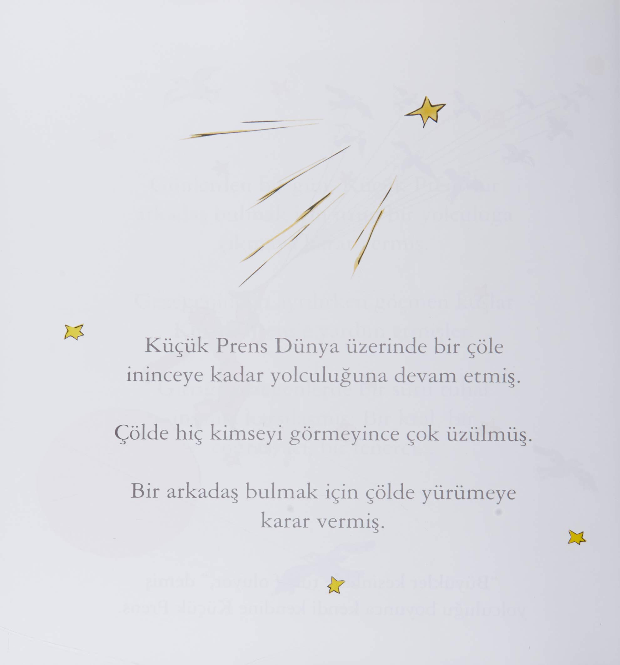 Bebekler İçin Küçük Prens
