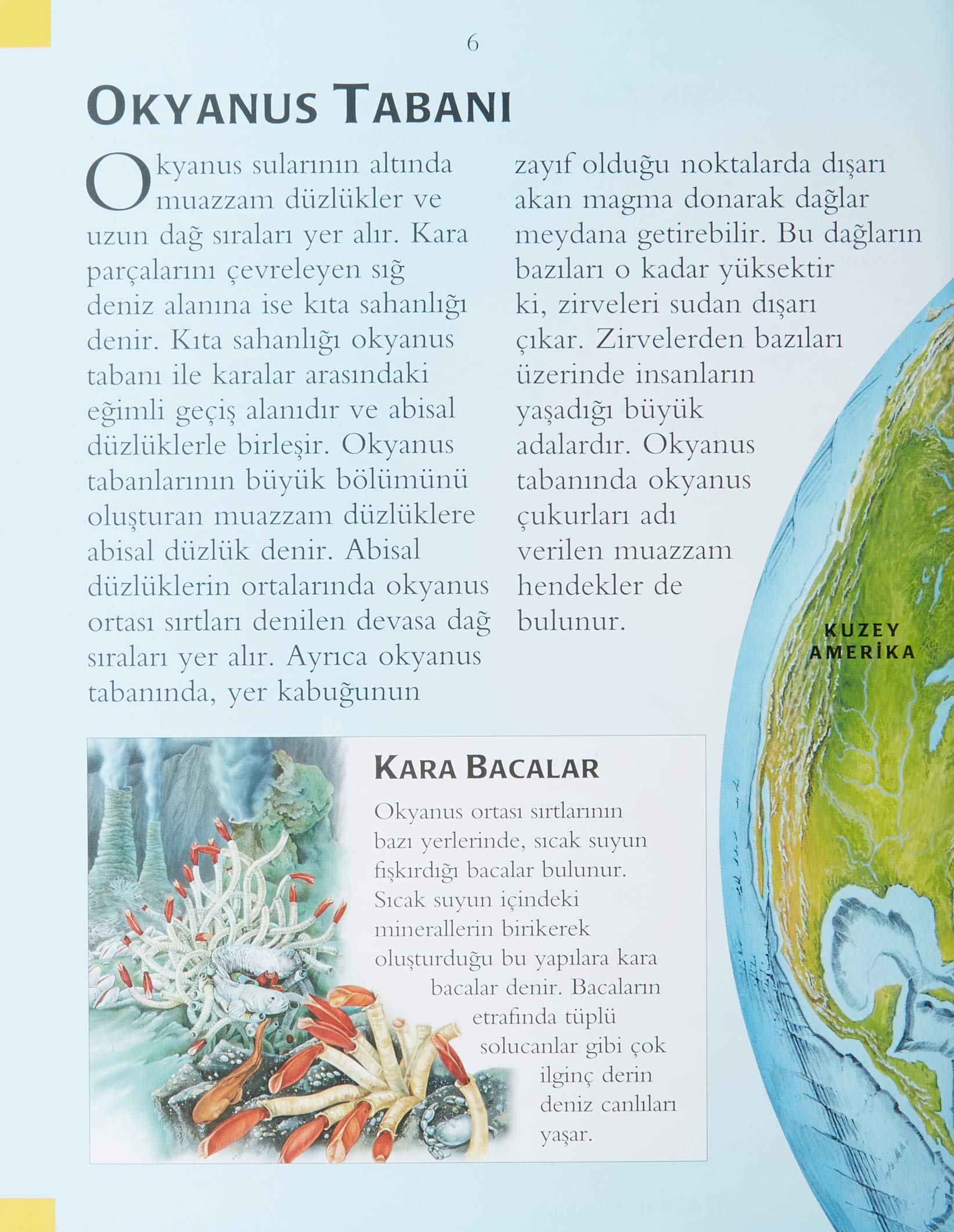 İLK BİLİM KÜTÜPHANEM OKYANUSLAR: İlk Bilim Kütüphanem - Resimli