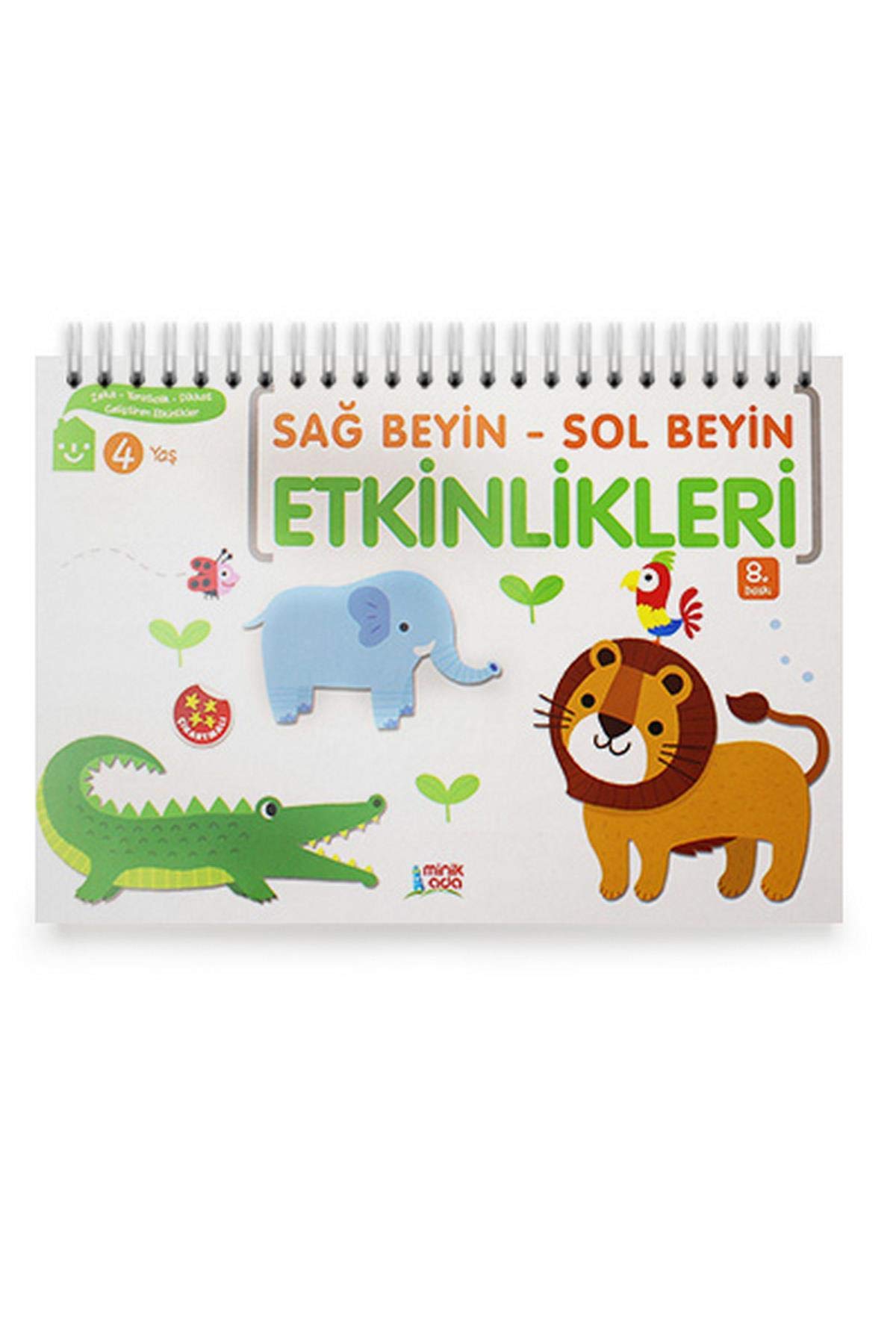 Sağ Beyin Sol Beyin Etkinlikleri 4 Yaş