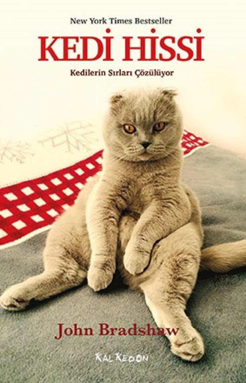 Kedi Hissi: New York Times Bestseller Kedilerin Sırları Çözülüyor