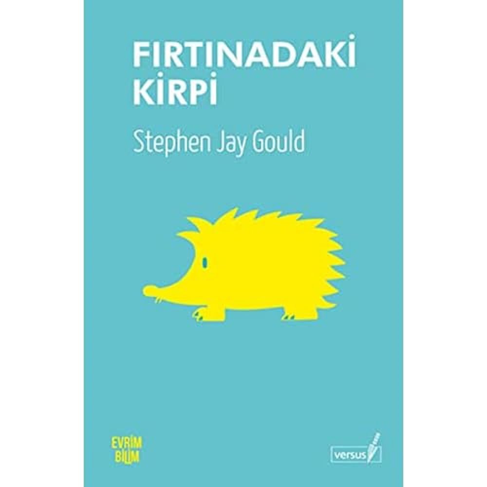 Fırtınadaki Kirpi: Kitaplar ve Fikirler Üzerine Denemeler