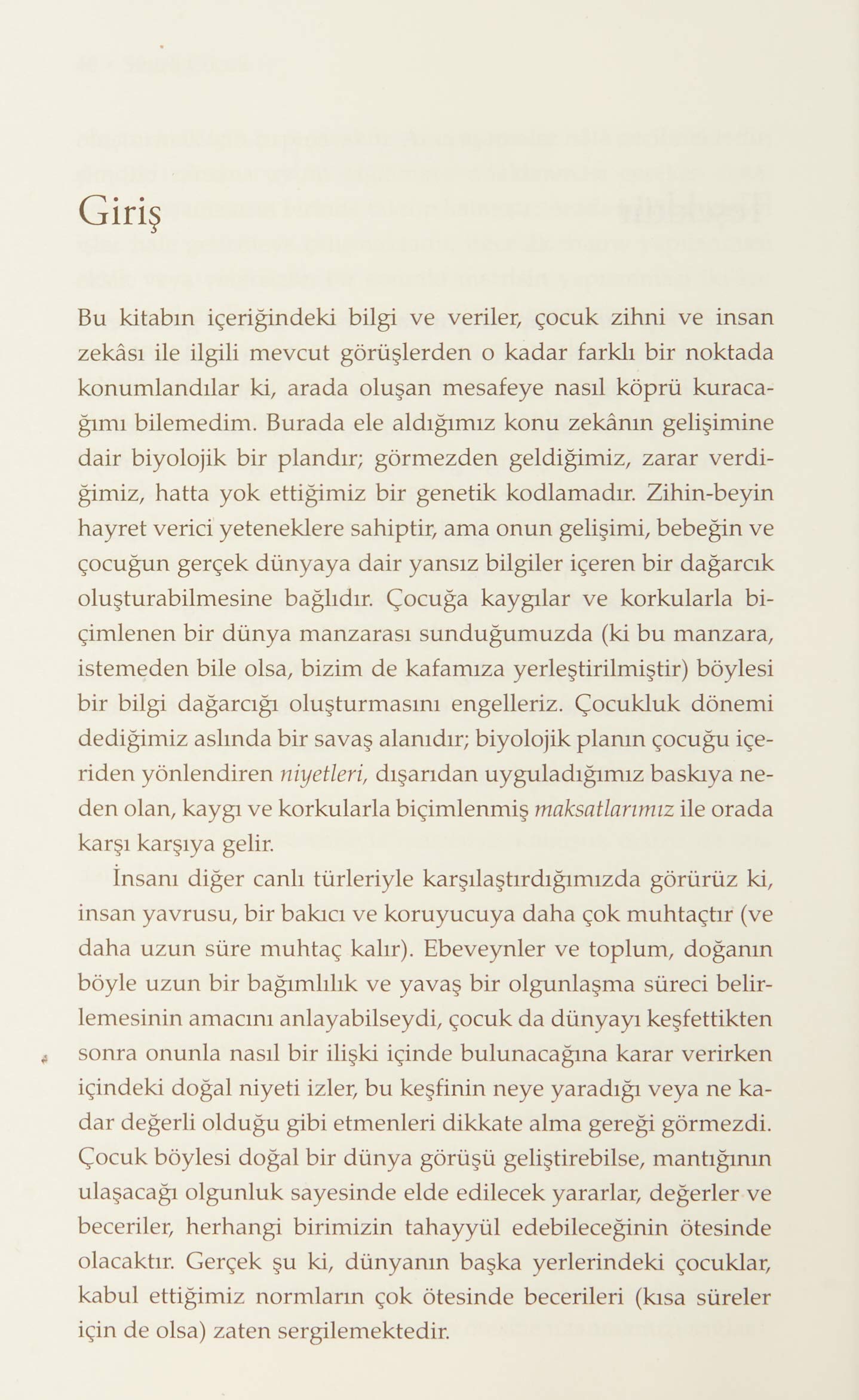 Sihirli Çocuk