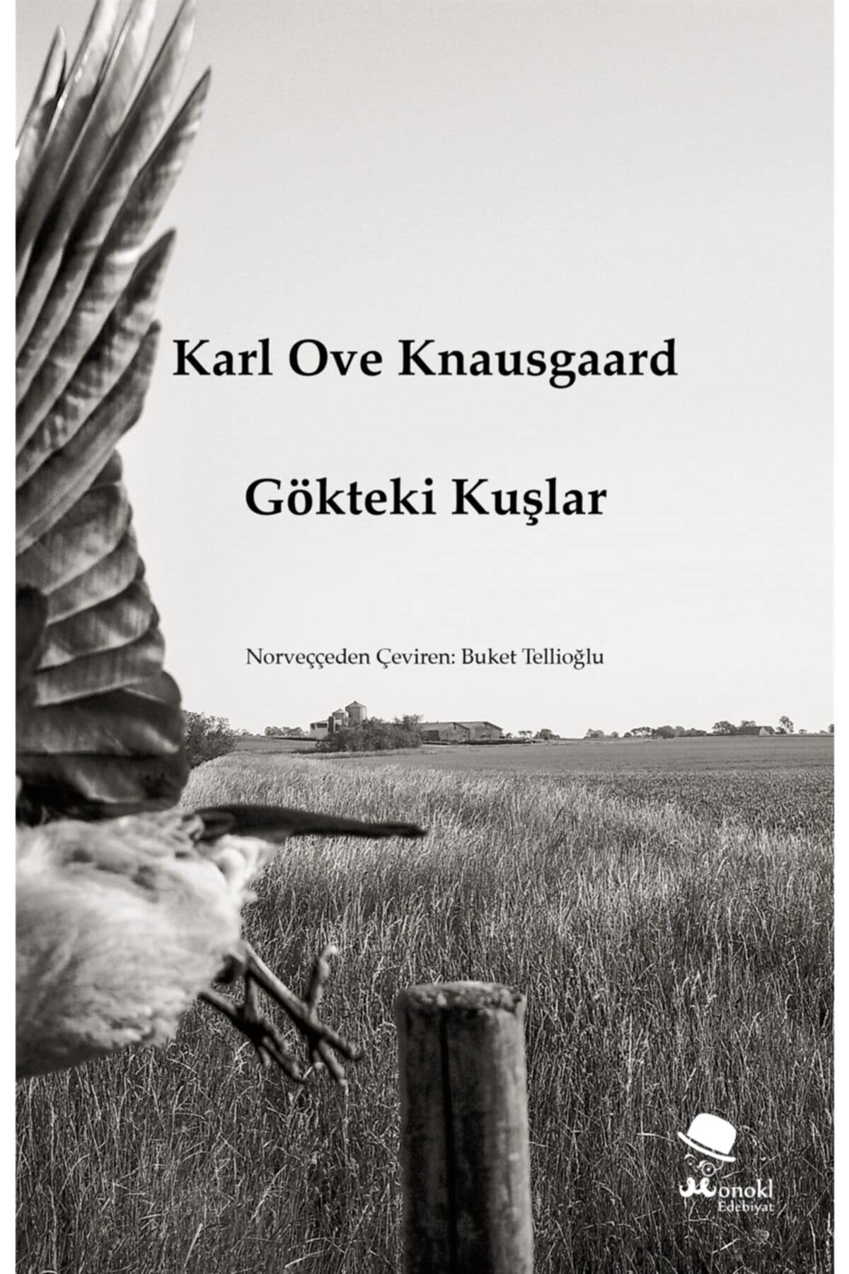 Gökteki Kuşlar