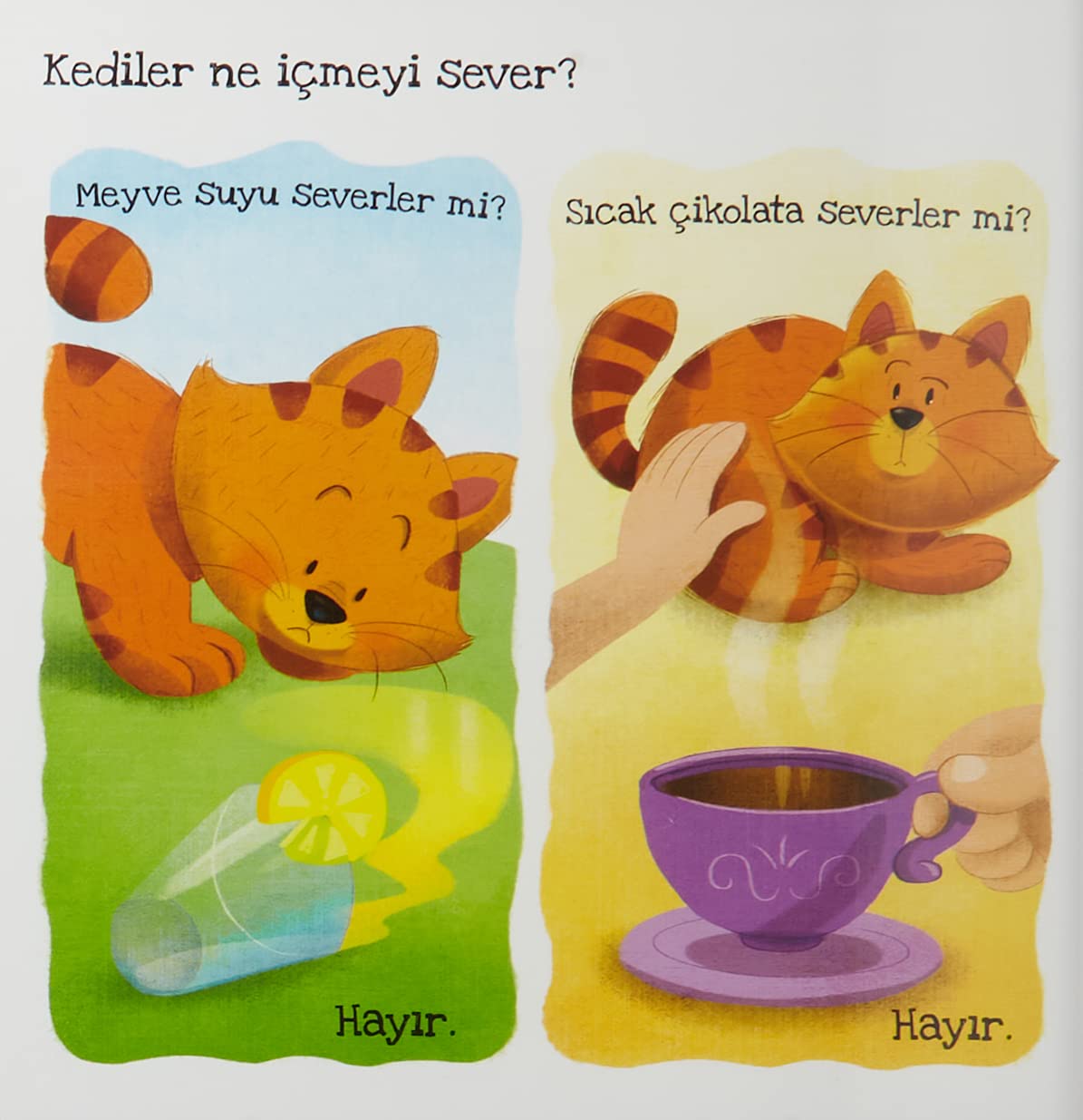 Kediler Ne Sever? (Ciltli): Dokuları Eğlenerek Keşfet!