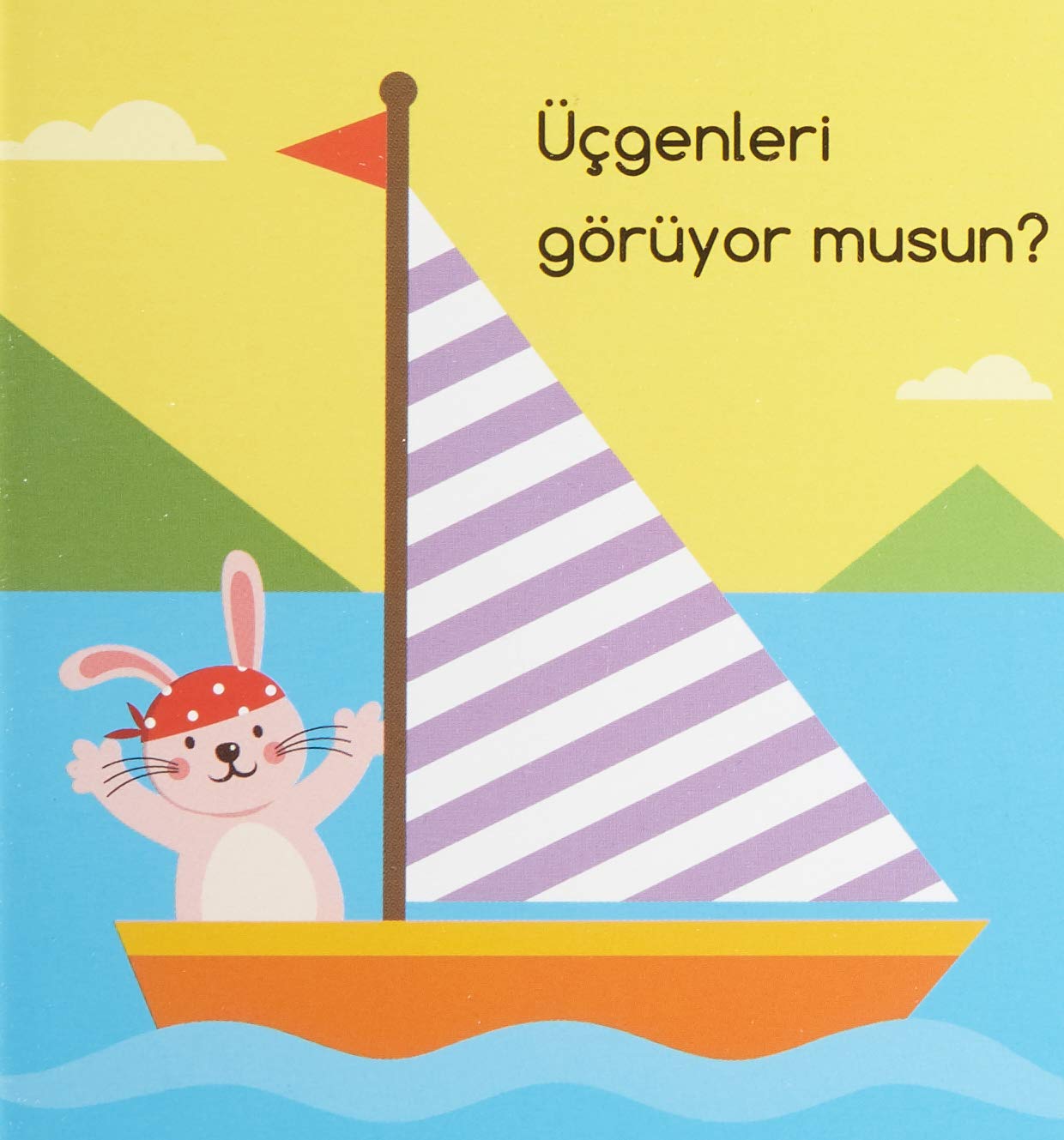 Minik Kitaplar - Şekiller
