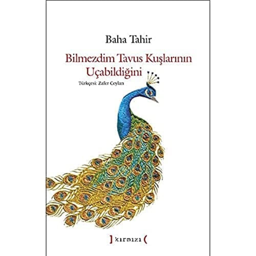 Bilmezdim Tavus Kuşlarının Uçabildiğini