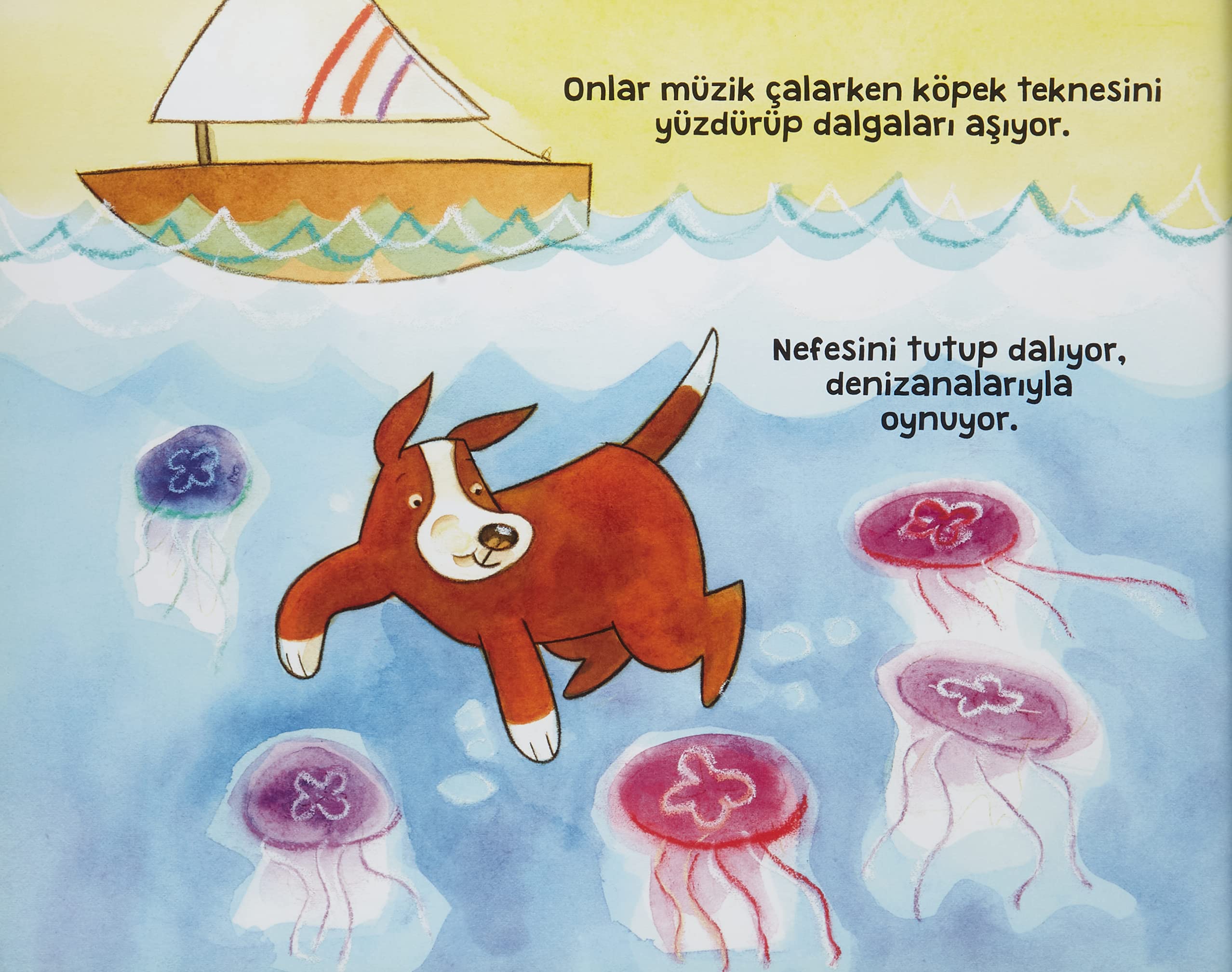Dalgiç Köpek
