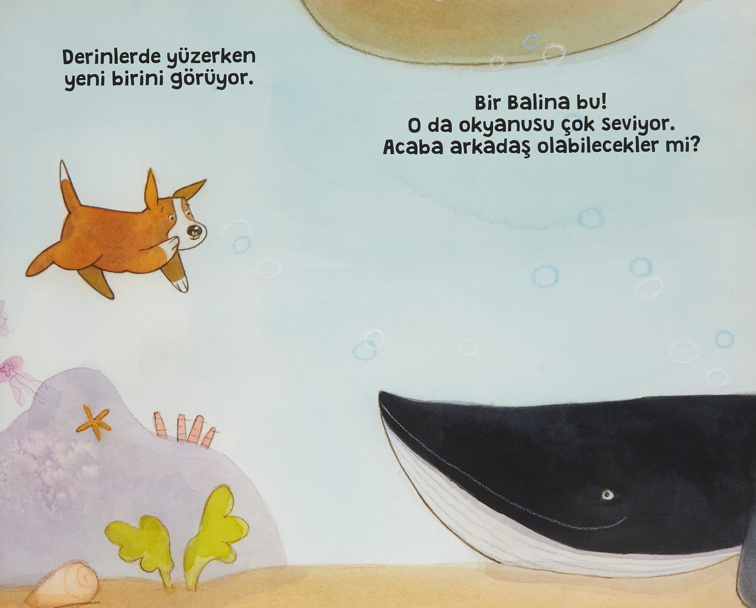Dalgiç Köpek